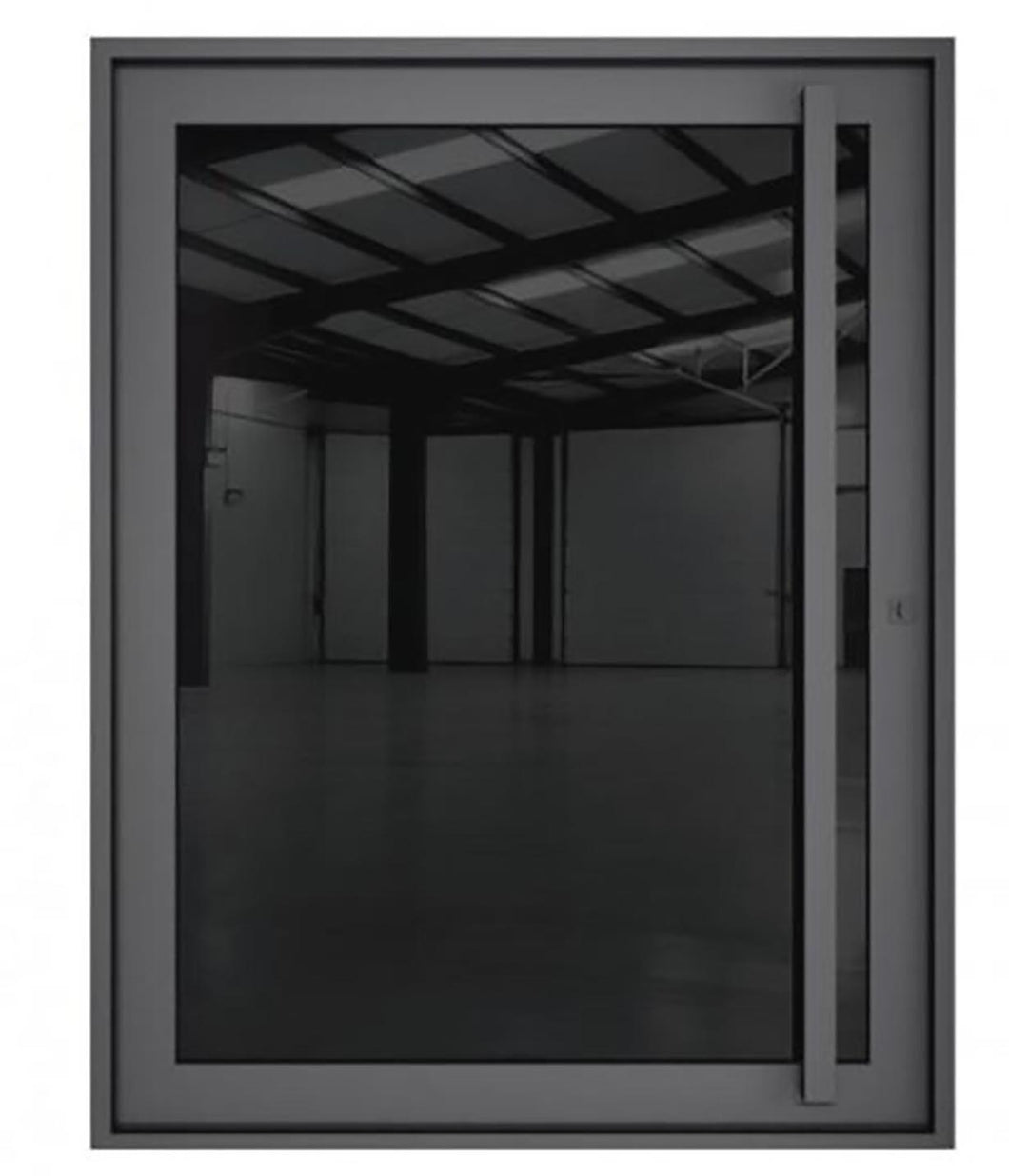 Black Opal Pivot door