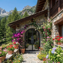 Load image into Gallery viewer, Arched French double doors
